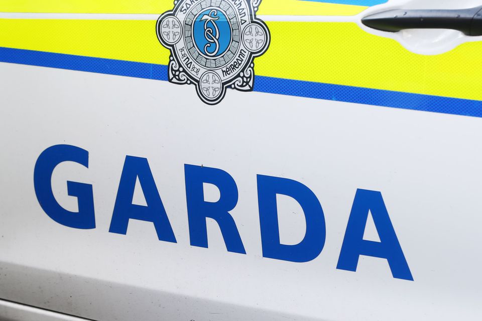 Gardai have appealed for witnesses (Niall Carson/PA)