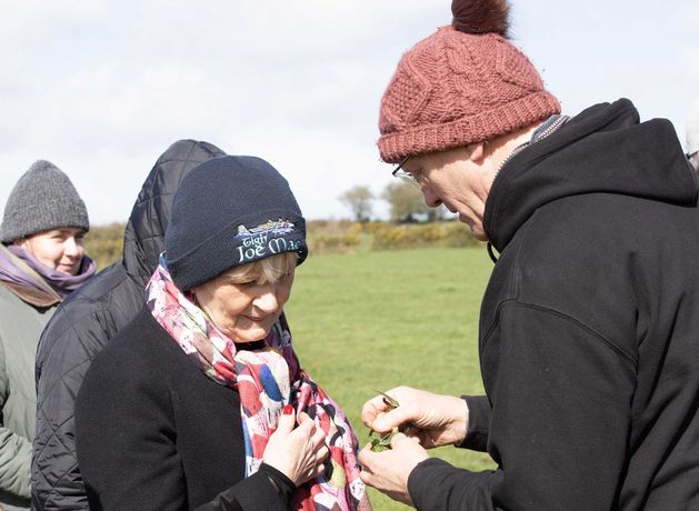 Programme aiming to develop skills of farmers for transitioning to organic systems launched at Roscommon farm