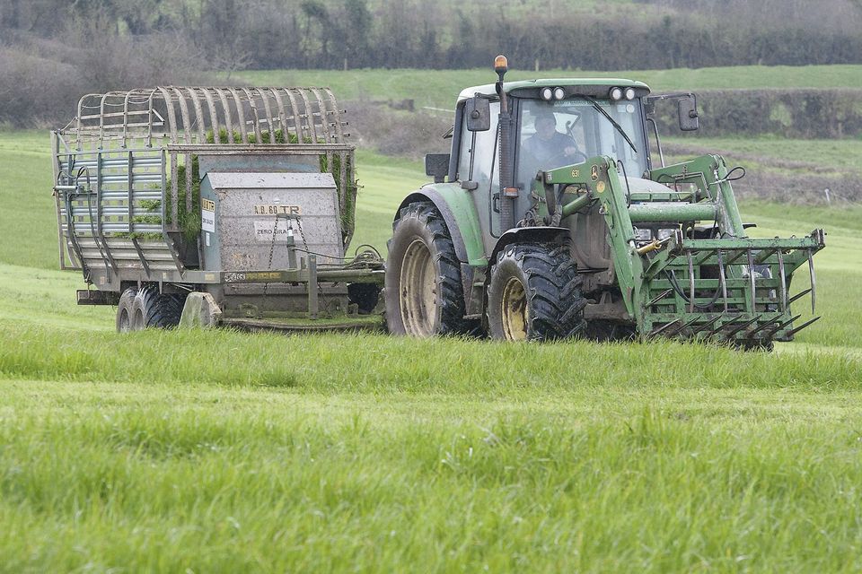 Joe Boyce pictured cutting grass for the 100-cow herd
