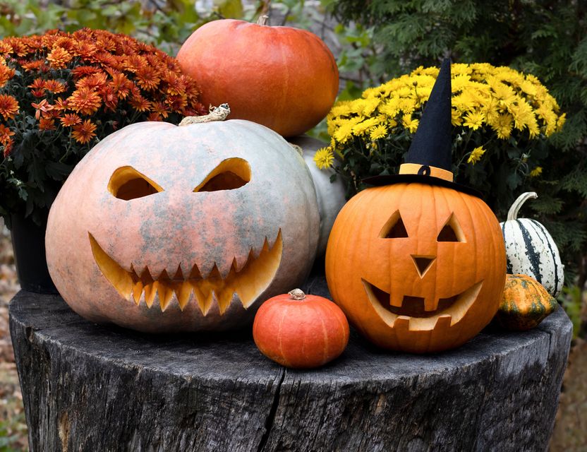 There are lots of pumpkin patches and pumpkin experiences taking place in 2024. Photo: Getty Images.