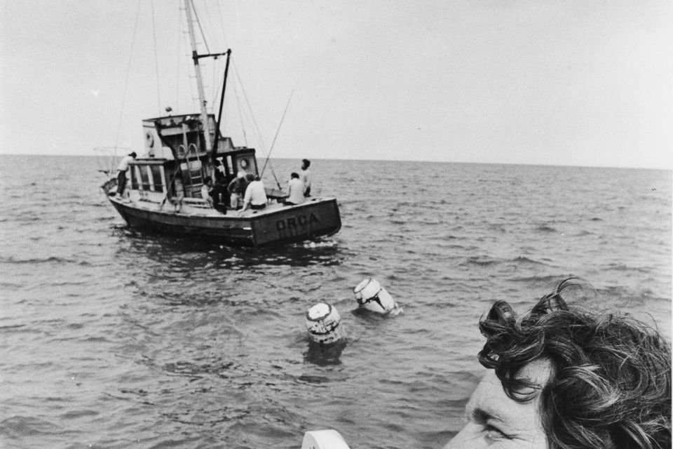 Director Steven Spielberg waits for a scene to begin filming on 'Jaws'