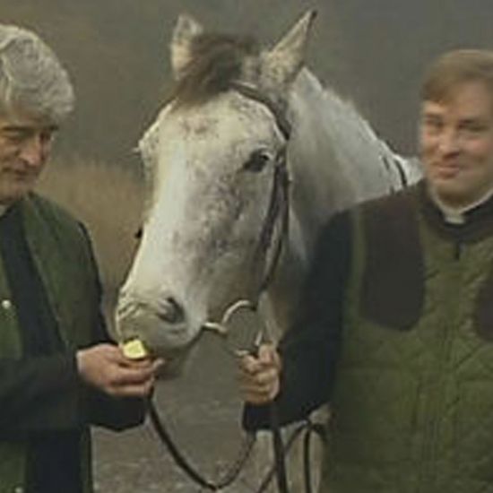 independent.ie - Fionnán Sheahan - Fionn&aacute;n Sheahan: RT&Eacute;'s Craggy Island accounting returns in Derek Mooney payments scandal