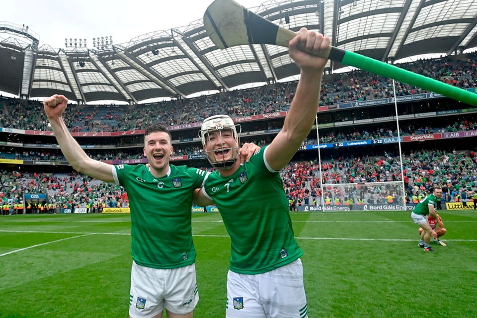 New Limerick hurling jersey pays tribute to every club in the county