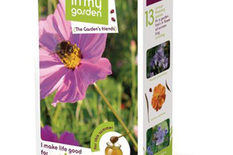 A Floral Meadow bee seed selection, €11.99 Johnstown garden centre