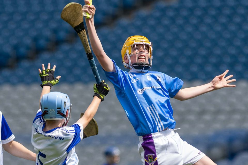 Corn Tom Fitzpatrick: Scoil San Treasa v Bishop Galvin NS. Ben Healy (SST)