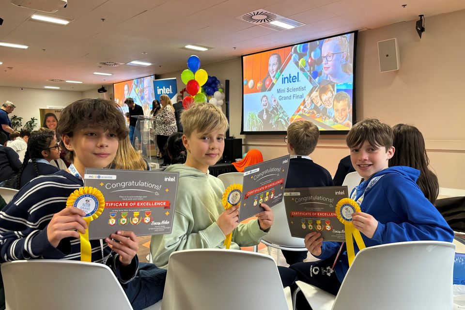 Noah Keane, Jeremi Gawronska, Sean Lundberg from Gorey Educate Together qualified for the National Intel Mini Scientists Competition recently. 