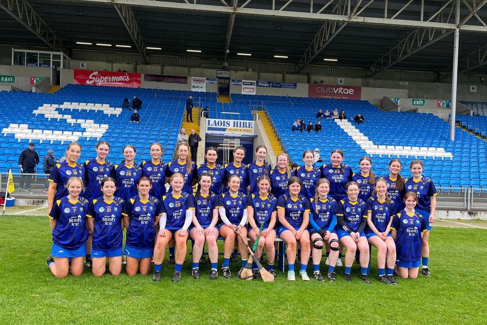 The Wicklow camogie team who lost heavily to Laois in the Leinster Intermediate camogie championship quarter-final last weekend. 