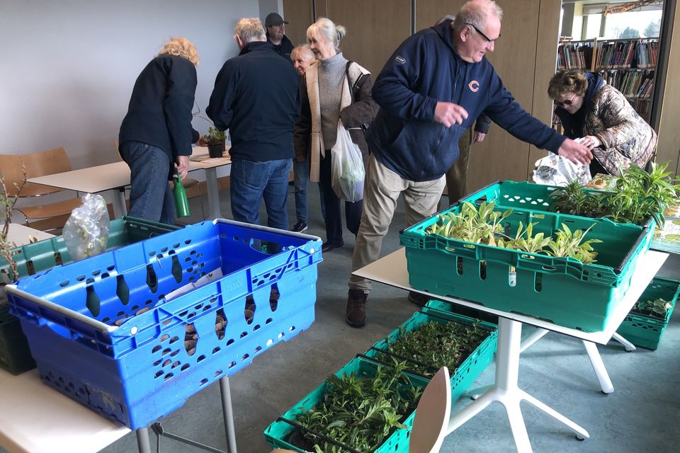 Hundreds of plants were shared by members of the local community.