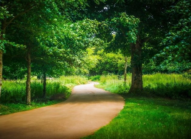 Russborough House’s Popular Lake Walk Gets Stunning Overhaul 