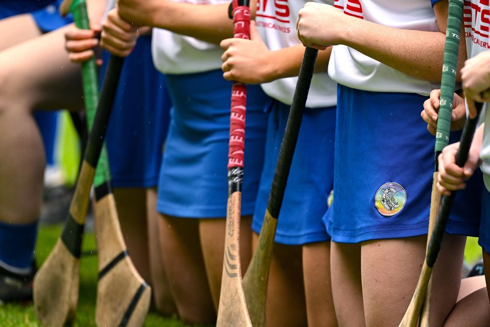 Waterford camogie team line up before a Munster quarter-final. Photo: Brendan Moran/Sportsfile