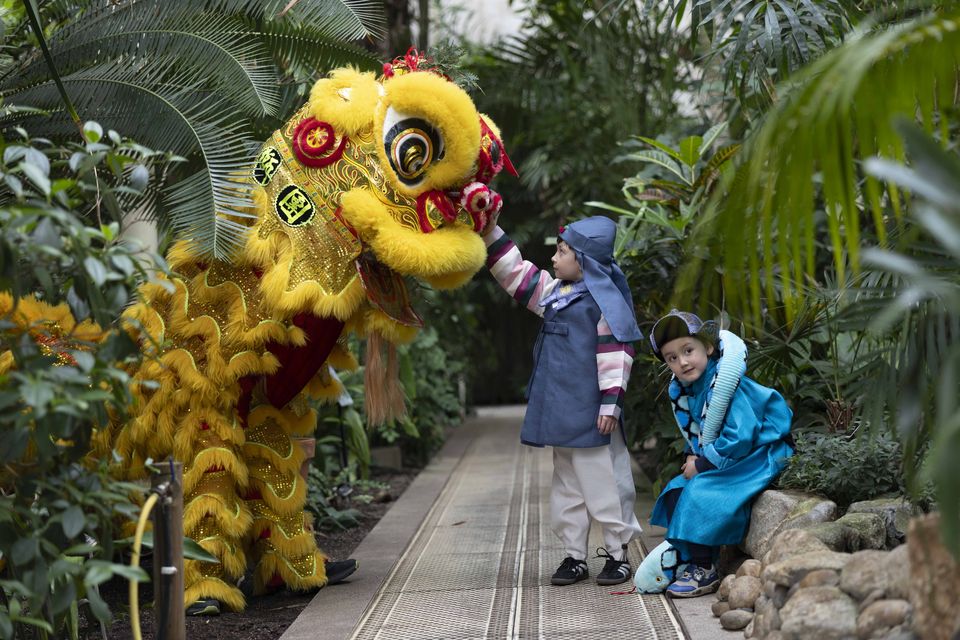 Lion dancers Sion Thomas and Robin Anglim at the launch of this year's Dublin Lunar Festival 2025. Pic: Sam Boal/Collins