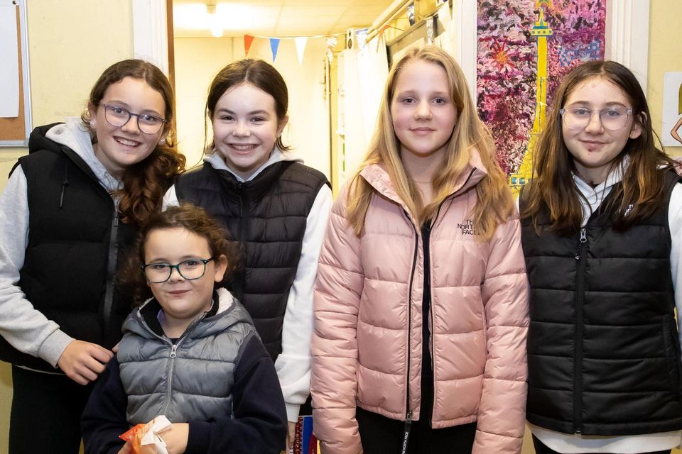 New ross opening sale