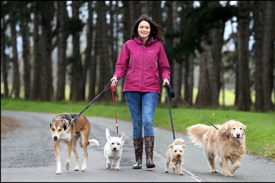 Eimear Hogg goes out for a stroll with Patrick, Rosie, Jake and Lola. Photo: Steve Humphreys