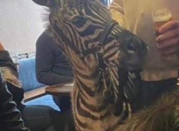 Tierrettungsorganisation fordert Maßnahmen, nachdem Mann während eines ...