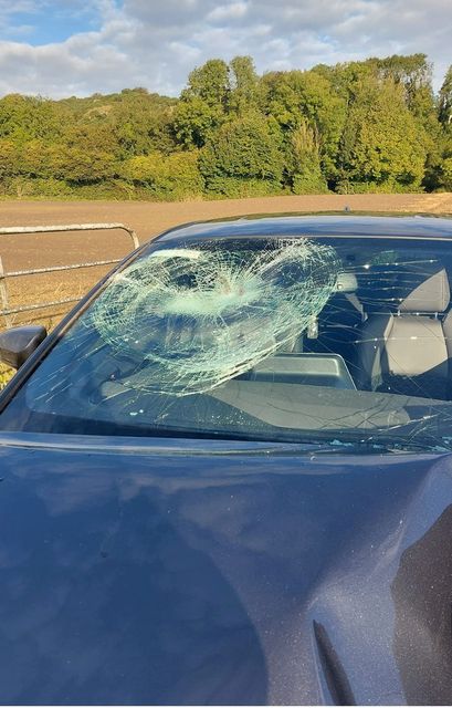 Donegal woman ‘lucky and grateful’ to be alive after horse jumped onto car in terrifying incident