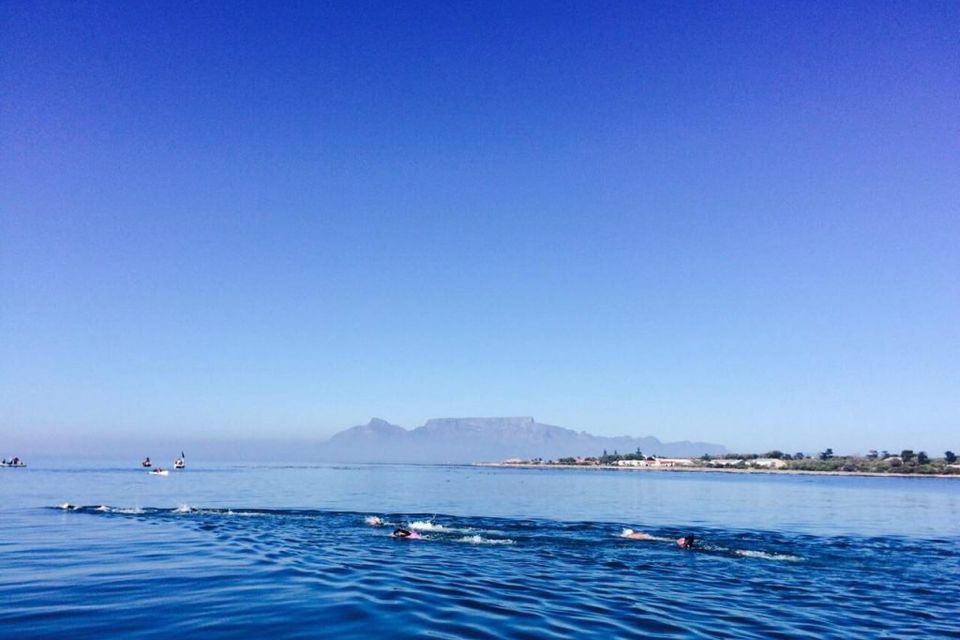 Conor's 'Freedom Swim' from Robben Island