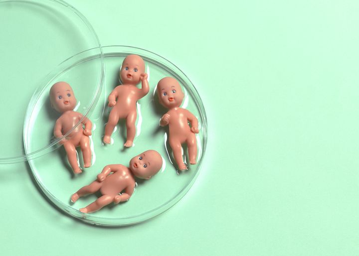 Twins born minutes apart discover that they have different fathers