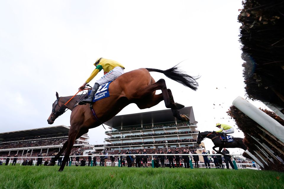 Monmiral ridden by Harry Cobden (R) jumps the last ahead of Kyntara ridden by Charlie Deutsch on their way to winning the Pertemps Network Final Handicap Hurdle during day three