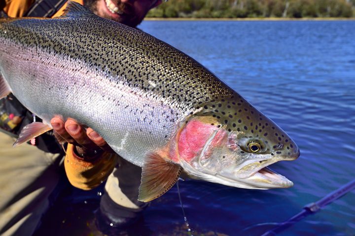 ‘Upset’ angler at Kerry lake who took excess fish broke rod and threw it at fisheries officer