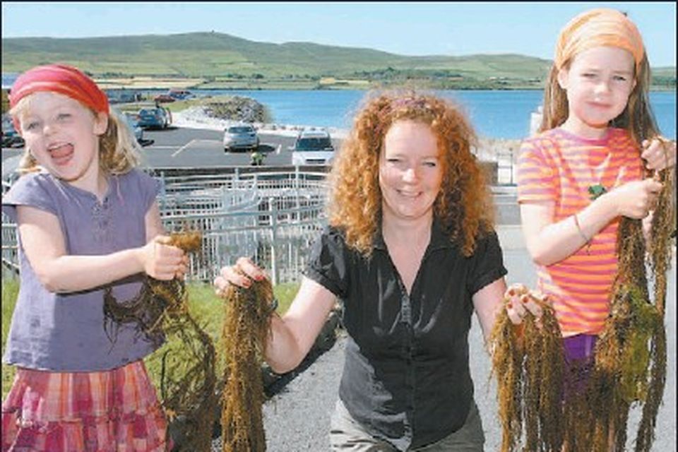 Alien weed invades harbour | Irish Independent