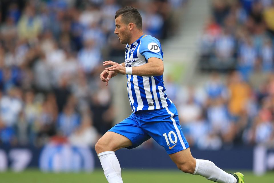 Tomer Hemed fired the winner in Brighton's 1-0 Premier League victory over Newcastle