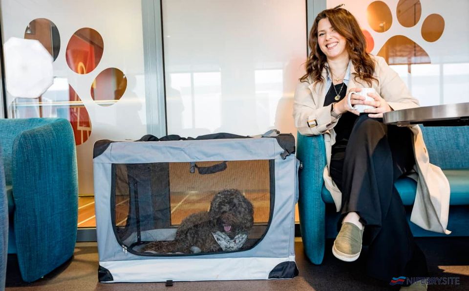 Henry le Cockapoo avec la propriétaire Victoria Carswell au salon pour animaux de compagnie Stena Line