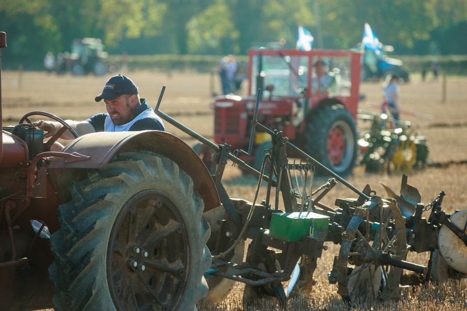 Day two of the National Ploughing Championships. Photo: Mark Condren