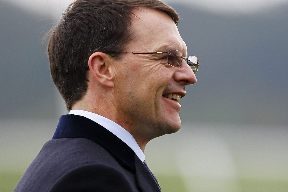 Aidan O'Brien has the hot favourite Leading Light. Alan Crowhurst/Getty Images