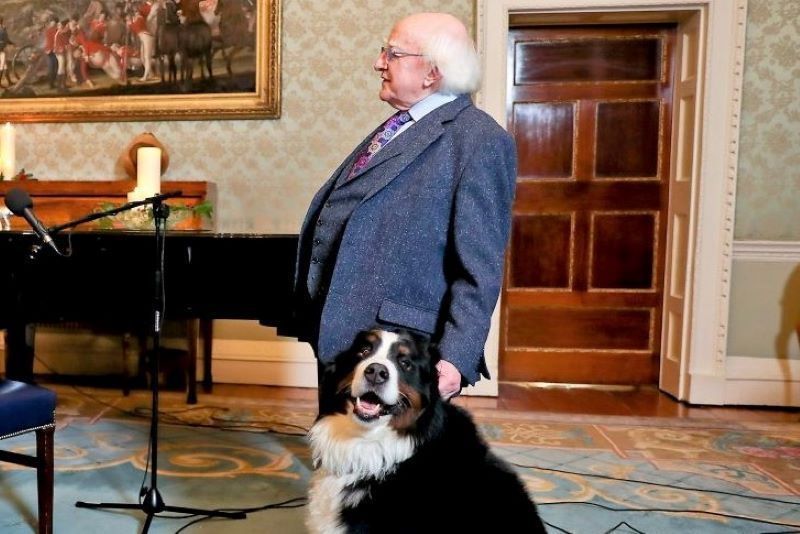 President Michael D Higgins and his dog