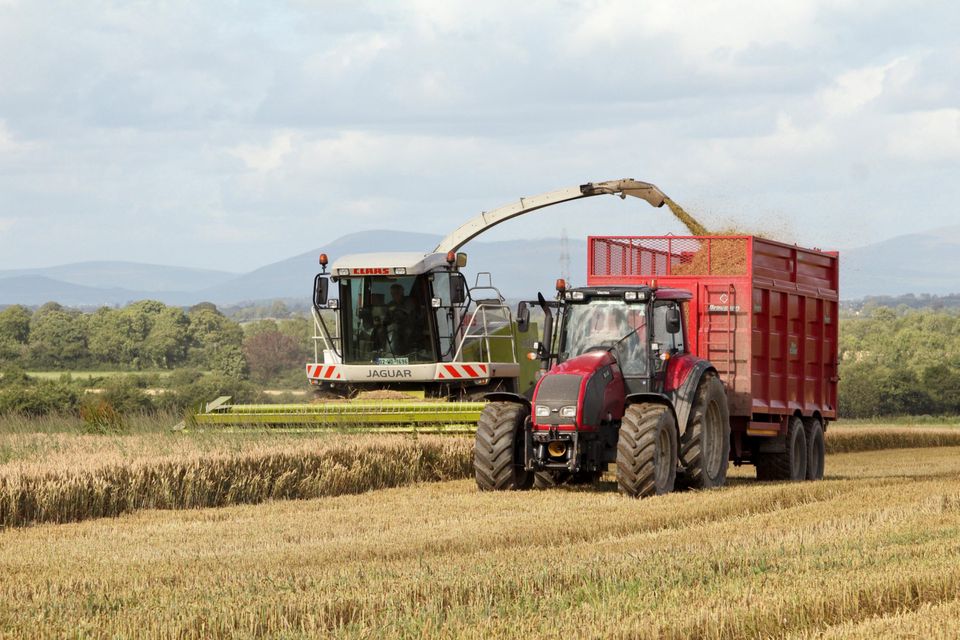 'The demand for fodder and forage has resulted in massively increased straw prices'