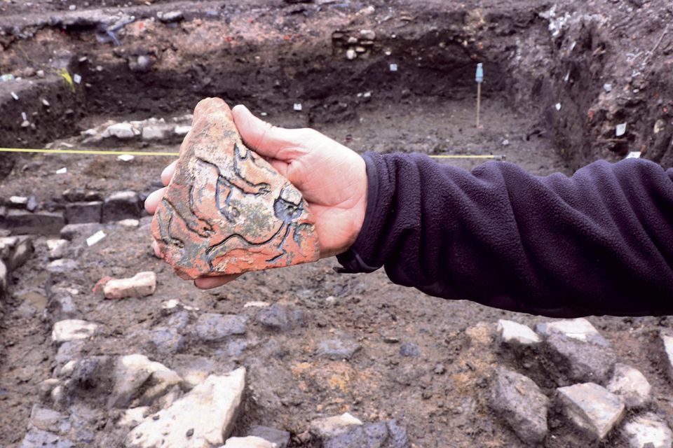 Dean Street archaeological dig at the Coombe, Dublin 8
Pic: Kevin Weldon/Aisling Collins