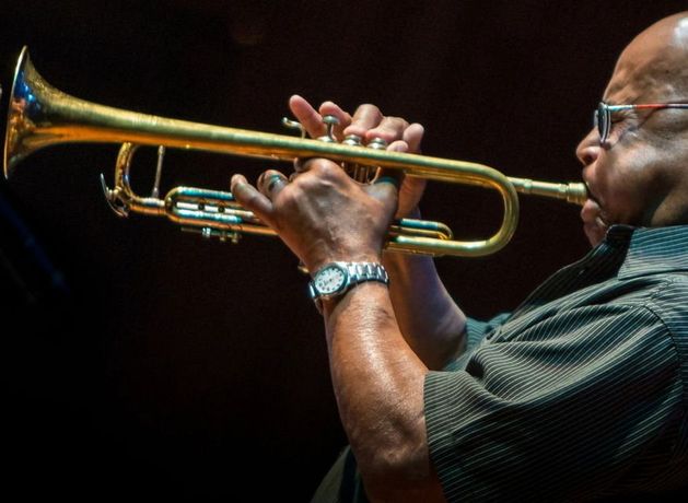 May bank holiday in Wicklow: From family days out to live night at night there’s something for everyone