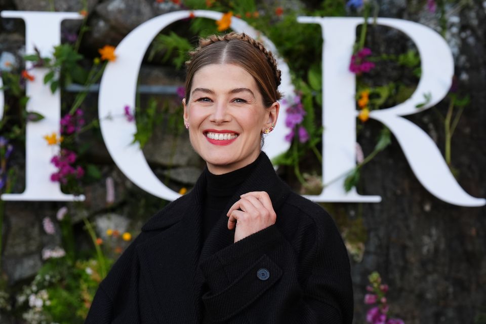 Rosamund Pike to make National Theatre debut as boss Norris marks final season