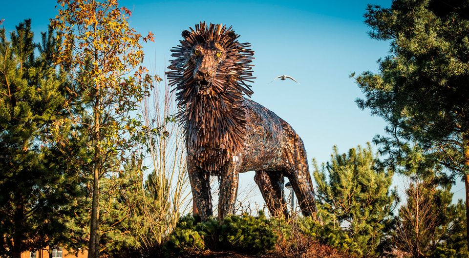 Aslan the lion at CS Lewis Square in Belfast. Photo: Discovernorthernireland.com