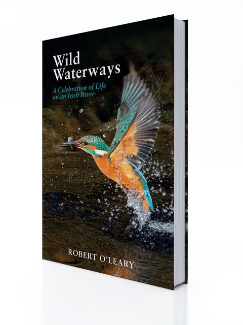 Wild Waterways: A Celebration of Life on an Irish River by Robert O’Leary, €12.99, Merrion Press