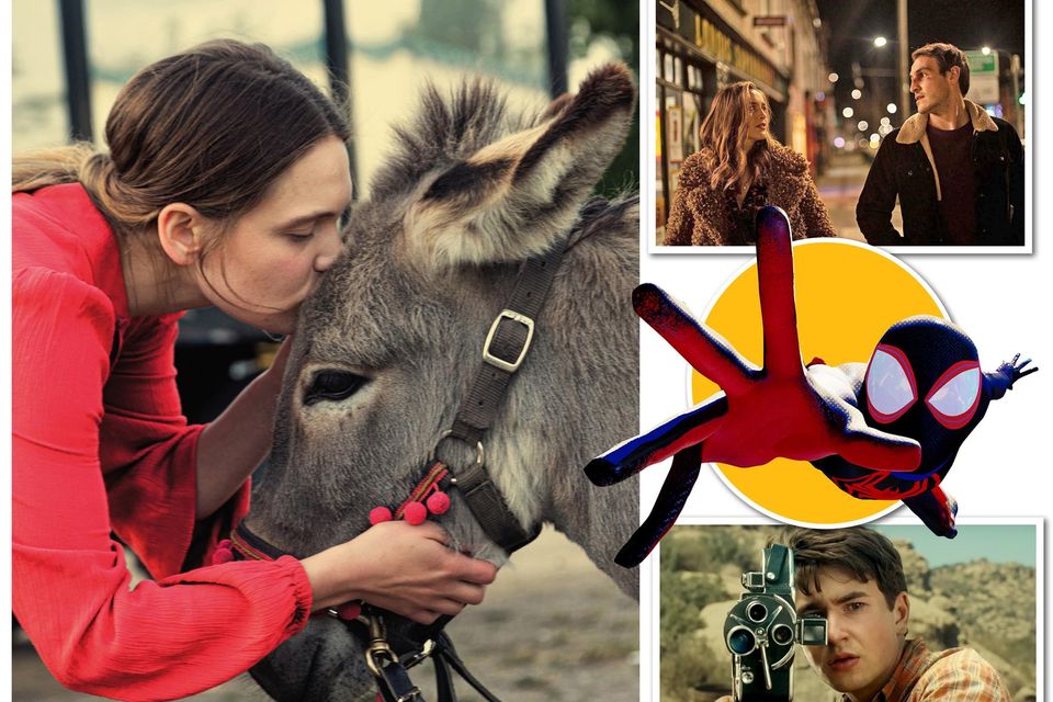 Clockwise from main: Scenes from EO, Lakelands, Spider-Man: Across the Spider-Verse and The Fablemans