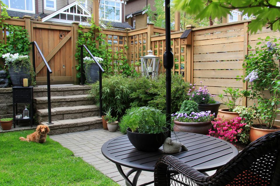 Beauty of small things: compact gardens have their own charm, and need  their own careful approach | Irish Independent