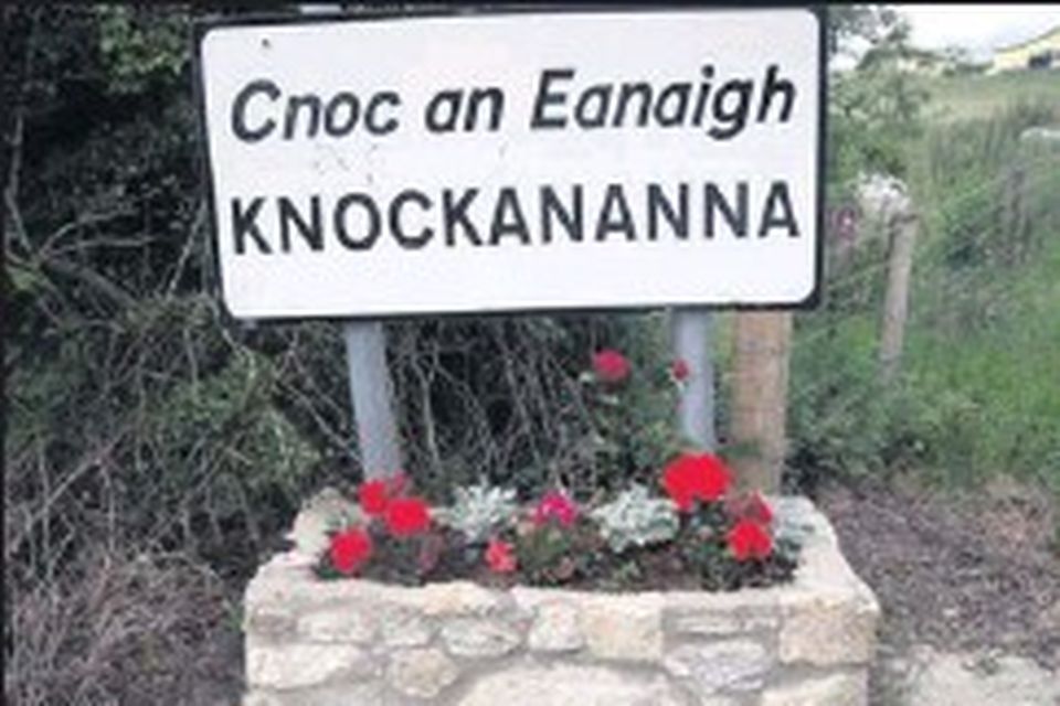 Knockananna is looking good! | Independent.ie