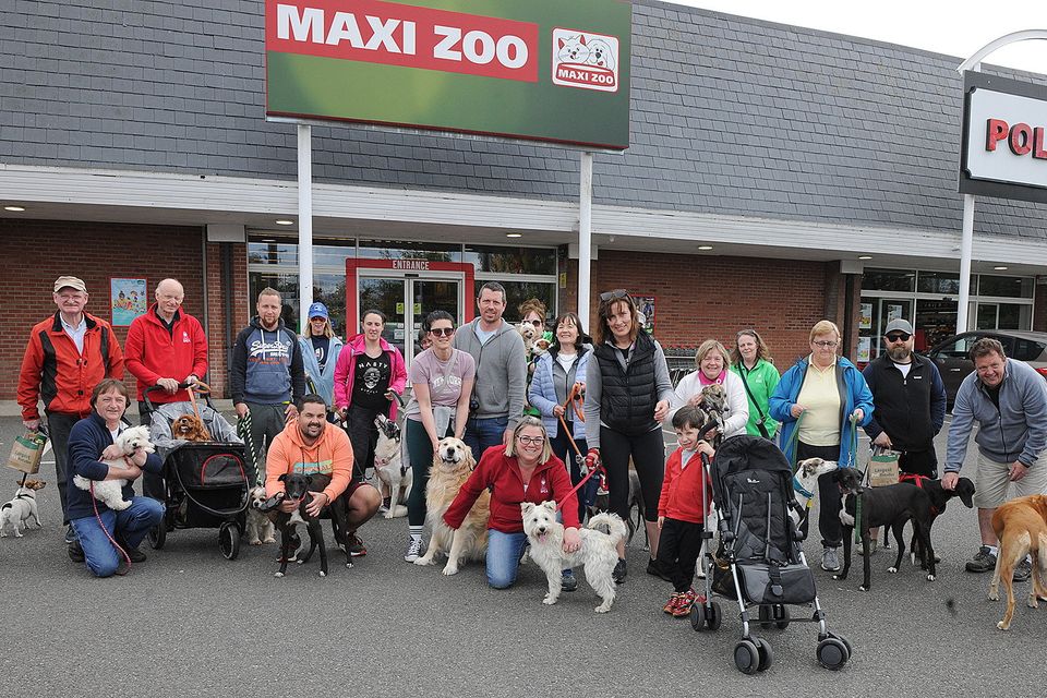 Participants pictured at the start of the annual NWSPCA Charity Dog Walk outside Maxi Zoo on Sunday. Pic: Jim Campbell