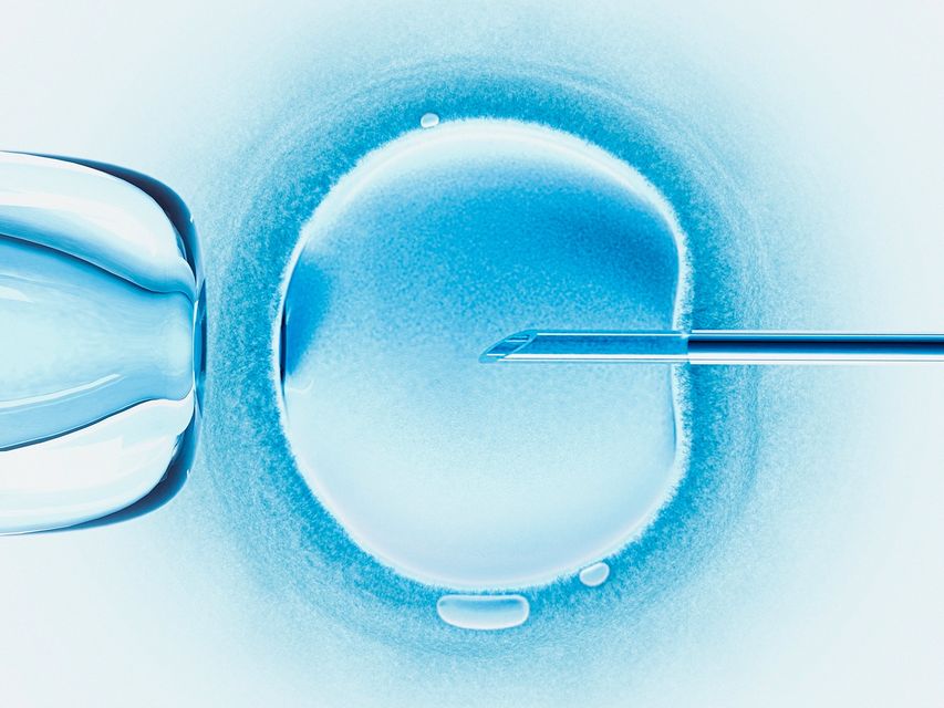 IVF support will include couples trying for a second child. Photo: Getty