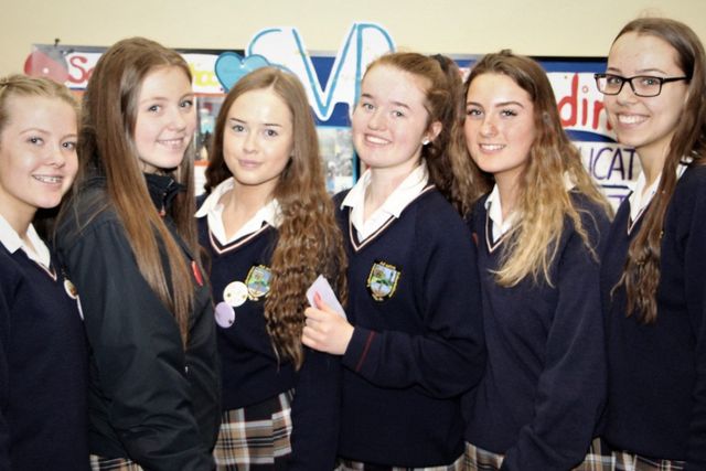 Local students attend SVP Youth Day event | Independent.ie