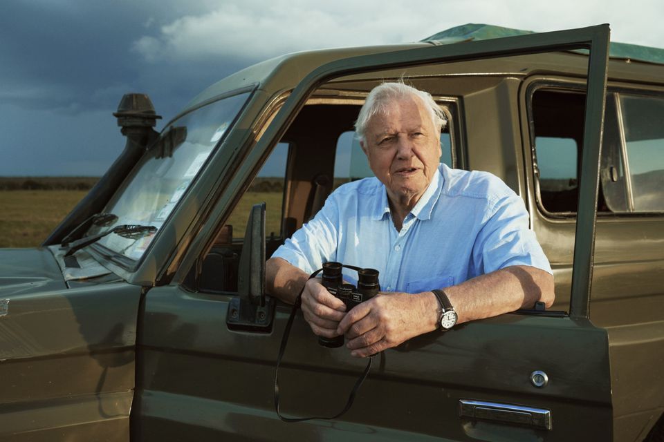 New series: Attenborough on location in Kenya while filming Seven  Worlds, One Planet