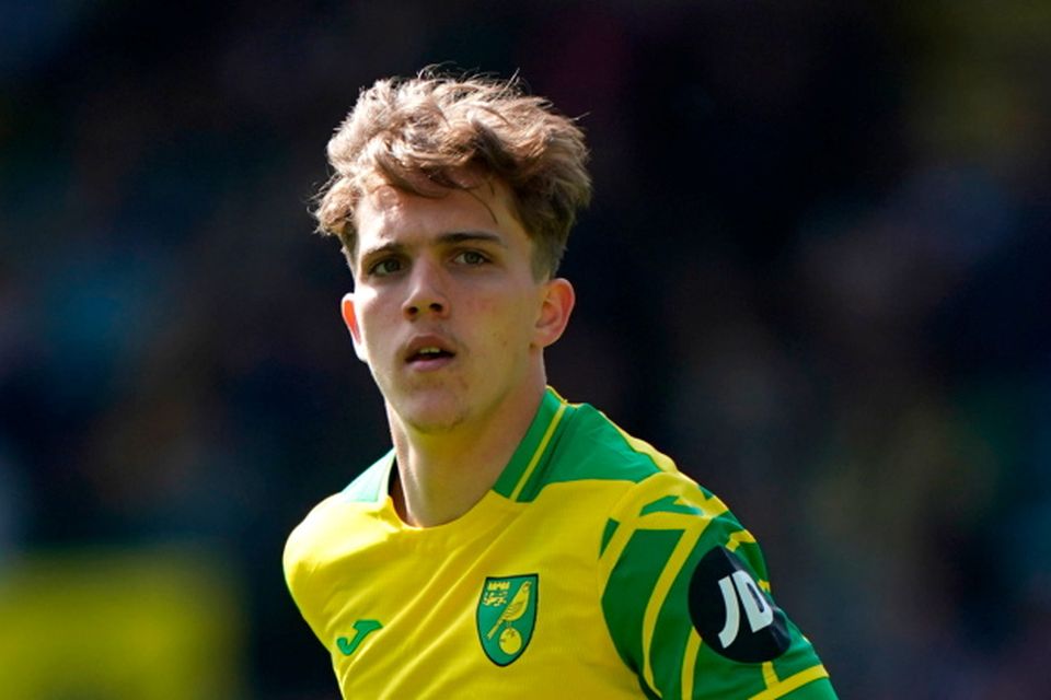 Tony is on the radar' - Ireland U21 monitoring Norwich youngster Springett  | Irish Independent