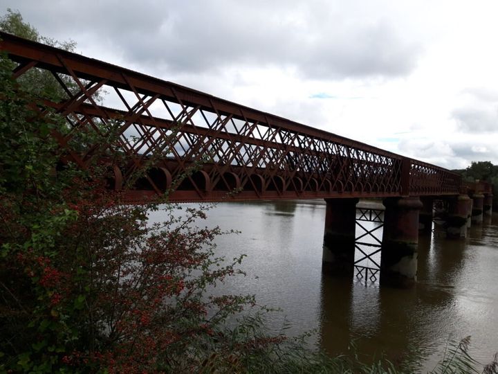 Progress on New Ross section of South East Greenway may come too late for businesses hoping for increase in tourism