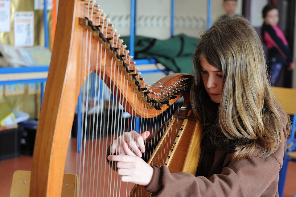 Cara O'Mahony on harp during the Gorey Ballygarrett CCE Junior Feis in St Joseph's School, Gorey on Sunday. Pic: Jim Campbell