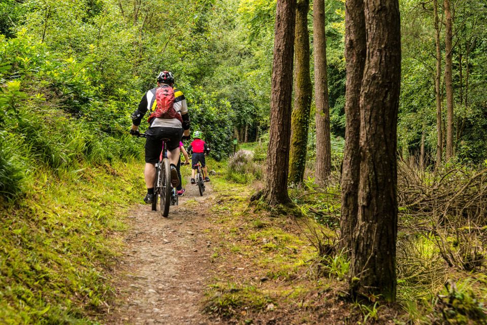 Car free bike store trails near me