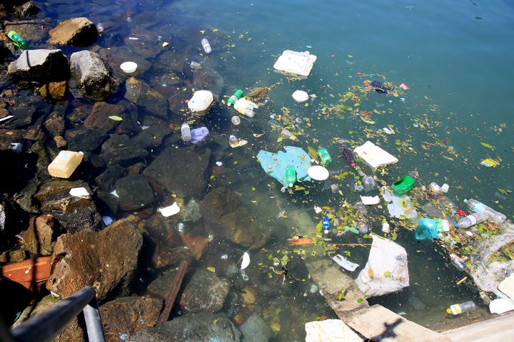 Chinese scientists create self-destructing ‘living plastic’ that can break down in six days
