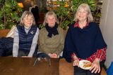 thumbnail: Anne Redman, Liz Wilson and Ann Barton at the  Animal Trust Fund Coffee Morning and Auction at the Wicklow Arms, Delgany. 