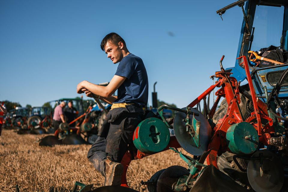 William O'Connell from Cork ploughing on day one of the National Ploughing Championships in Ratheniska. Photo: Mark Condren