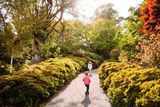 thumbnail: Walking in Mount Congreve, Co Waterford